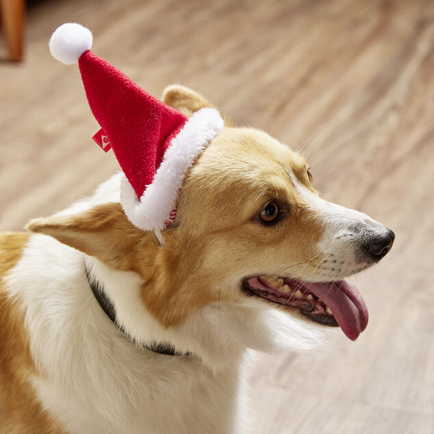 Bonnet pour chien Père Noël L17xH13cm
