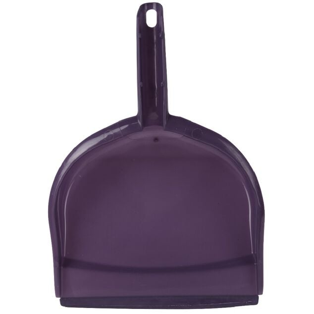 Set balai avec pelle