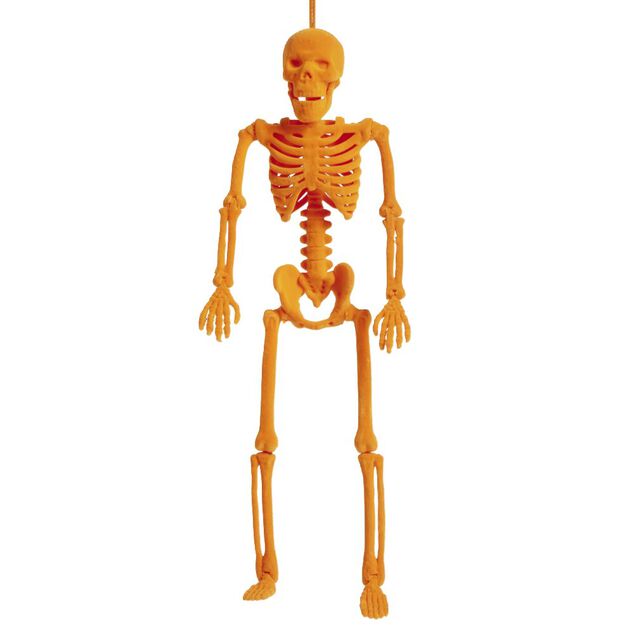 Squelette &agrave; suspendre Halloween H40cm