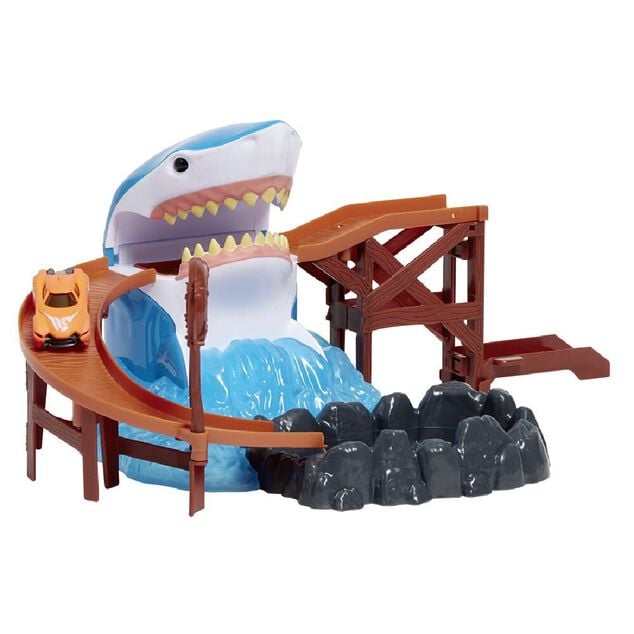 Circuit voiture requin