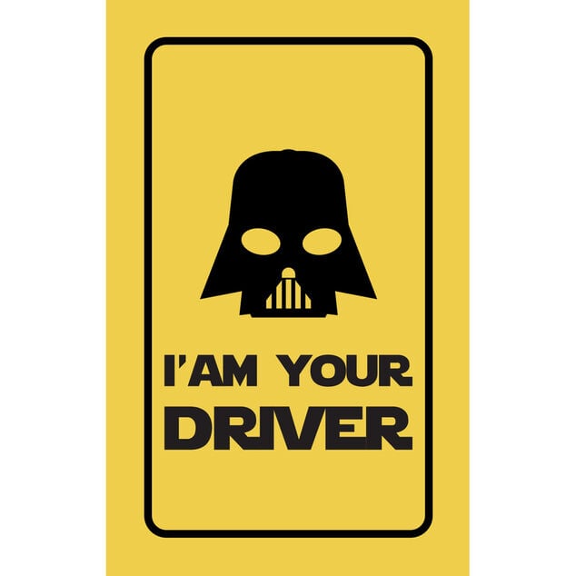 Parfum d'ambiance pour voiture senteur forêt