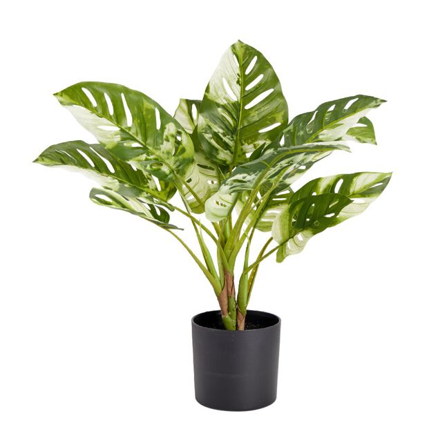 Plante artificielle en pot monstera vert 15 feuilles H50cm - 2 mod&egrave;les