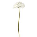 Fleur artificielle XL blanche fa&ccedil;on allium &Oslash;45xH178cm