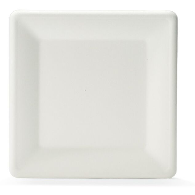 Lot de 12 assiettes plates carrées en canne à sucre