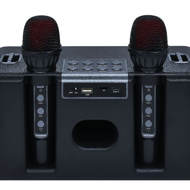 Enceinte karaok&eacute; 2 micros Homday Party