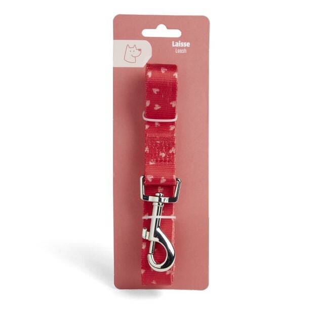 Laisse pour chien 120cm bleu