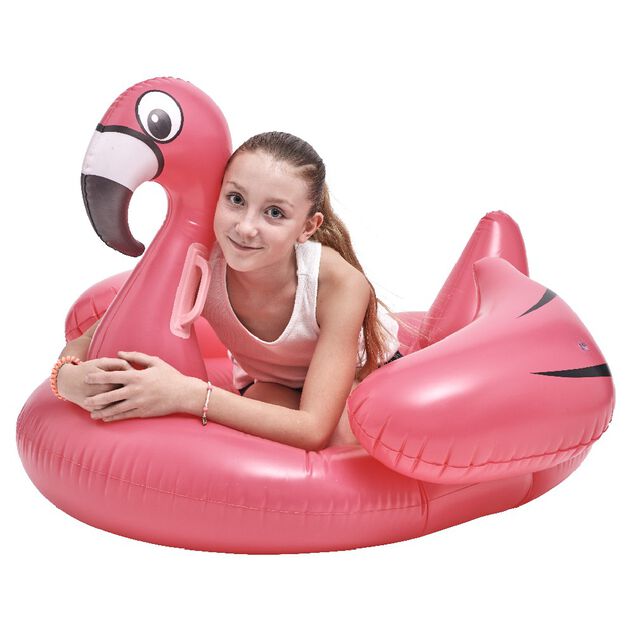 &Icirc;le gonflable flamant rose