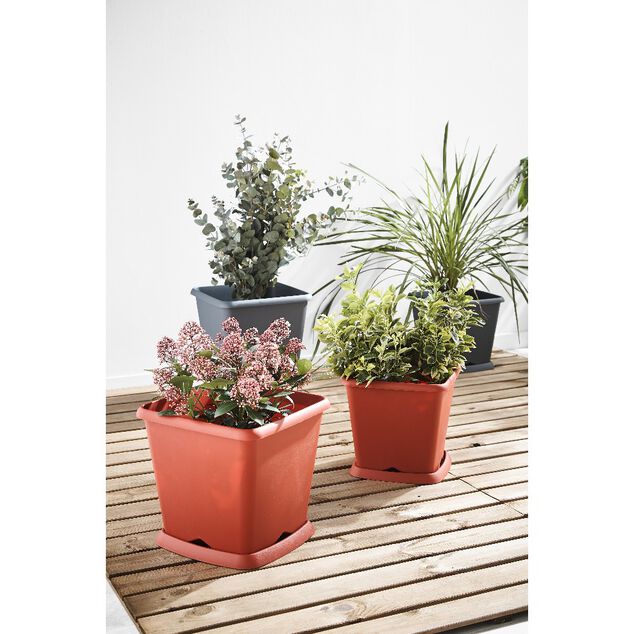 Soucoupe carr&eacute;e pour pot Chorus 15,2 L rouge