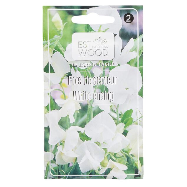 Semence de pois de senteur blanc Ensing
