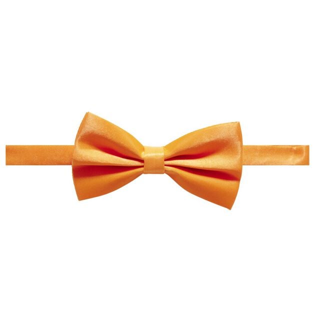 Noeud papillon flashy
