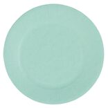 Lot de 10 assiettes en carton vert d'eau Ø18 cm