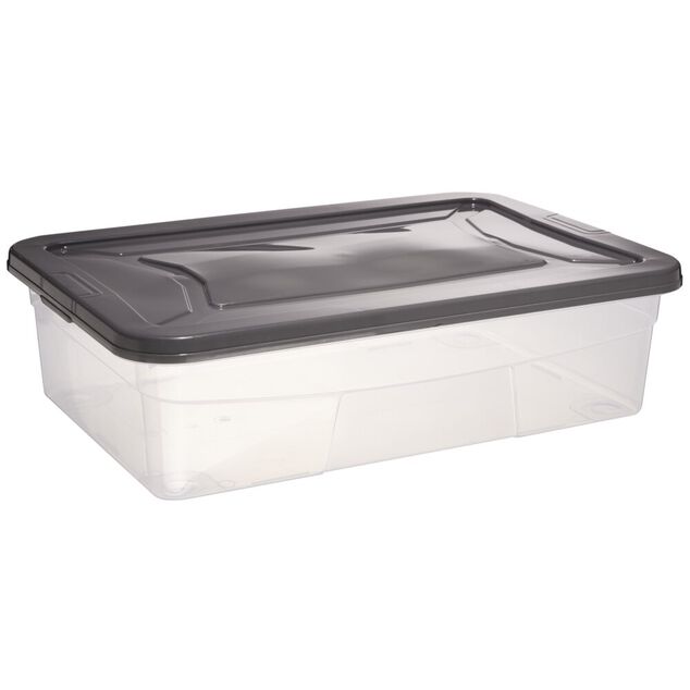 Box dessous de lit transparent et gris 30L