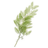 Chute fougère L90cm feuillage artificiel vert