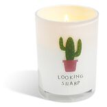 Bougie citronnelle verre
