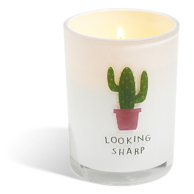 Bougie citronnelle verre