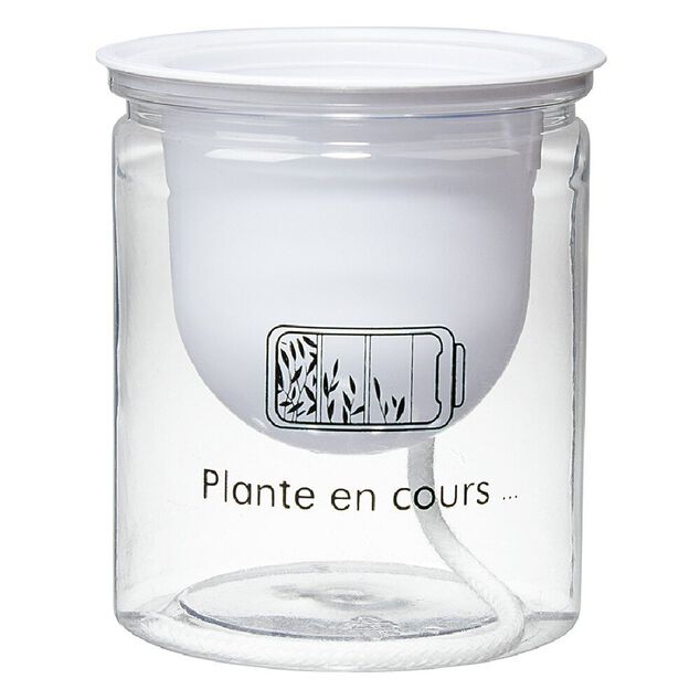 Mon petit pot de fleur