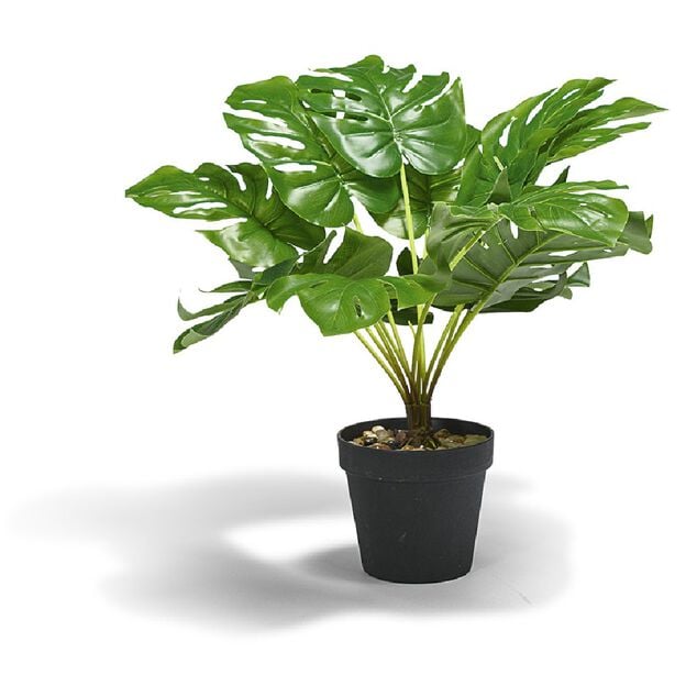 Plante exotique artificielle 48 cm
