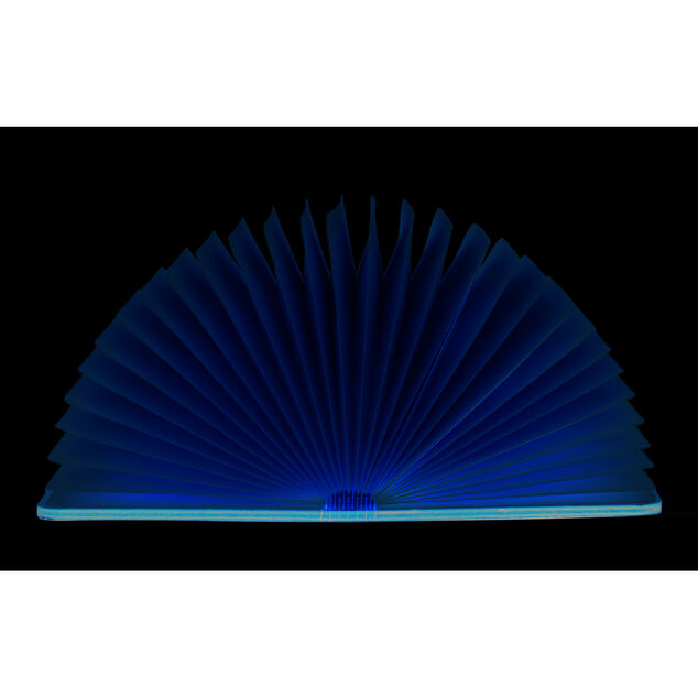 Lampe livre USB en bois 17xH14cm