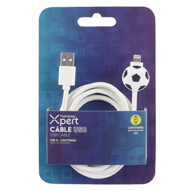 C&acirc;ble Homday USB-A lightning 1 m&egrave;tre 5V figurine amusante plastique (4 mod&egrave;les)