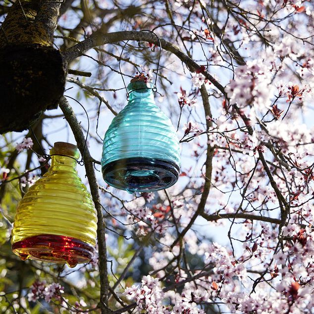 Pi&egrave;ge &agrave; gu&ecirc;pe en verre stri&eacute; &Oslash;15xH35cm