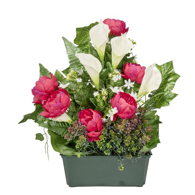 Composition florale jardini&egrave;re pivoines arums buis lierre 50x10xH64cm (3 mod&egrave;les)