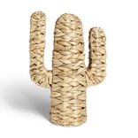 Cactus jacinthe d'eau H35cm