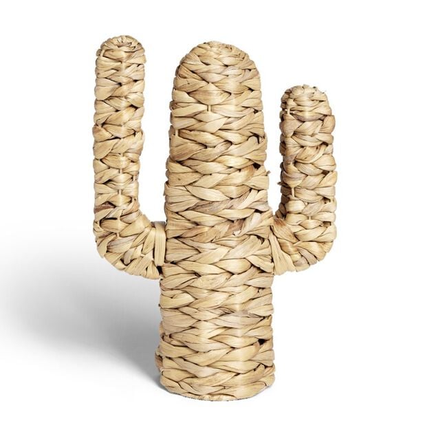 Cactus jacinthe d'eau H35cm