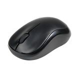 Souris PC sans fil noire 10x6xH4cm