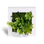 Plante artificielle d&eacute;coration murale cadre bois blanc 20x20cm