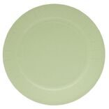 Lot de 10 assiettes en carton Ø23cm vert olive