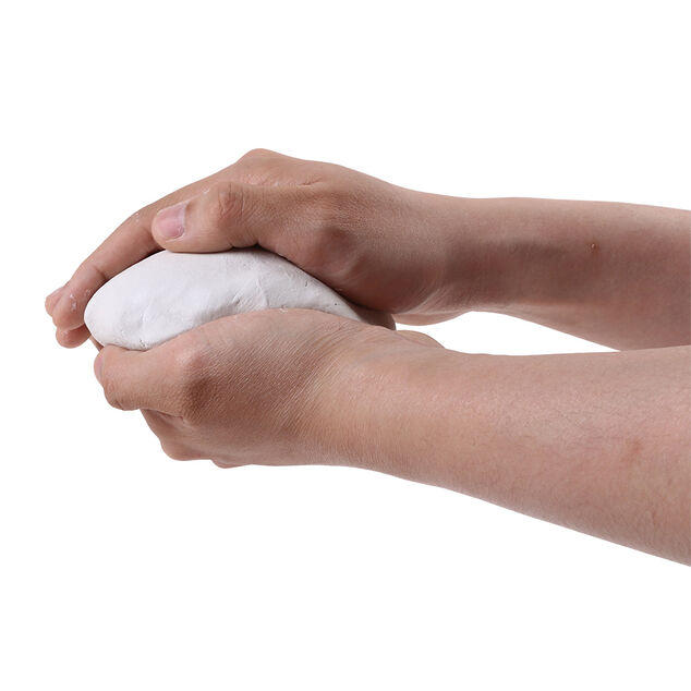 Kit empreinte animaux