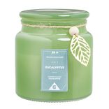 Bougie parfumée dans bonbonnière senteur eucalyptus 30H