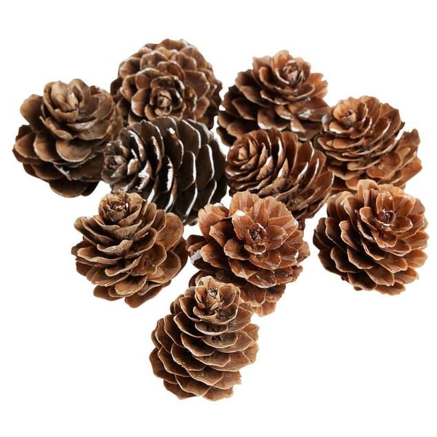 Pomme de pin &agrave; poser effet neige blanche x10