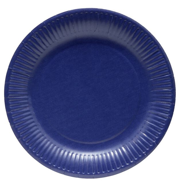Lot de 10 assiettes jetables en carton bleu