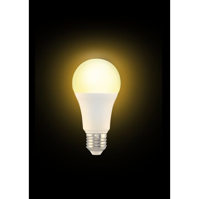 Ampoule LED E27 blanc chaud 14W=100W 1521lms classe F