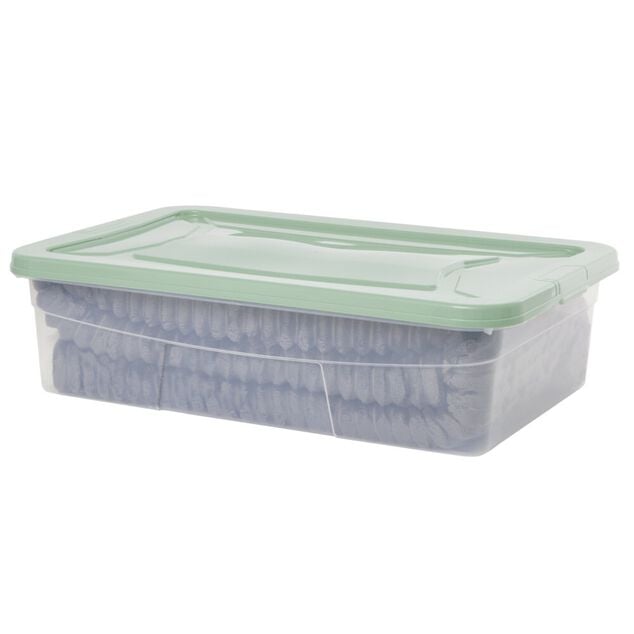 Box dessous de lit transparent et vert 30L