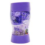 D&eacute;sodorisant 500ml