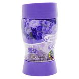 D&eacute;sodorisant 500ml