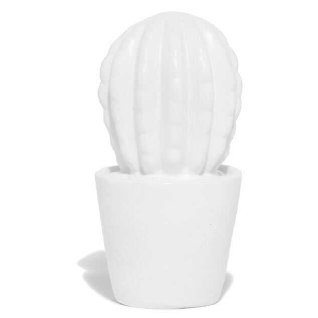 D&eacute;coration pot cactus