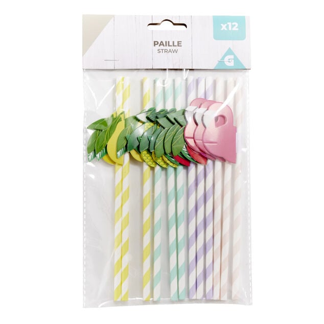 Lot de 12 pailles en papier design fruit