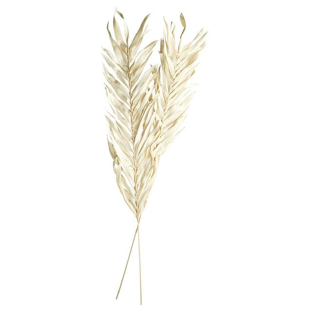 Feuille séchée naturelle x2