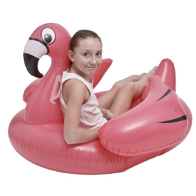 &Icirc;le gonflable flamant rose