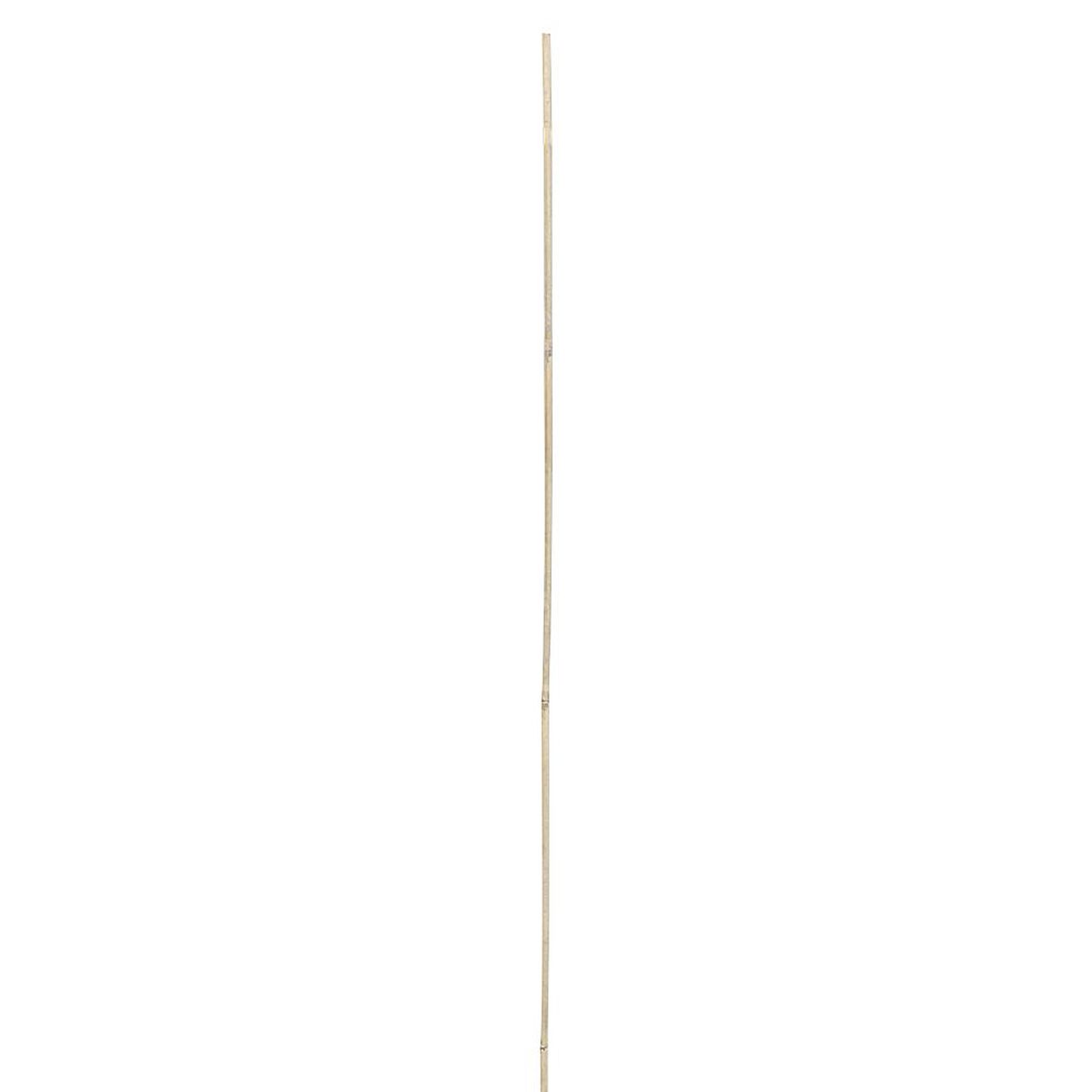 Lot 25 Tuteurs Bambou Naturel 105 Cm - Diamètre 8-10 Mm - Support Plantes Grimpantes Jardin Potager