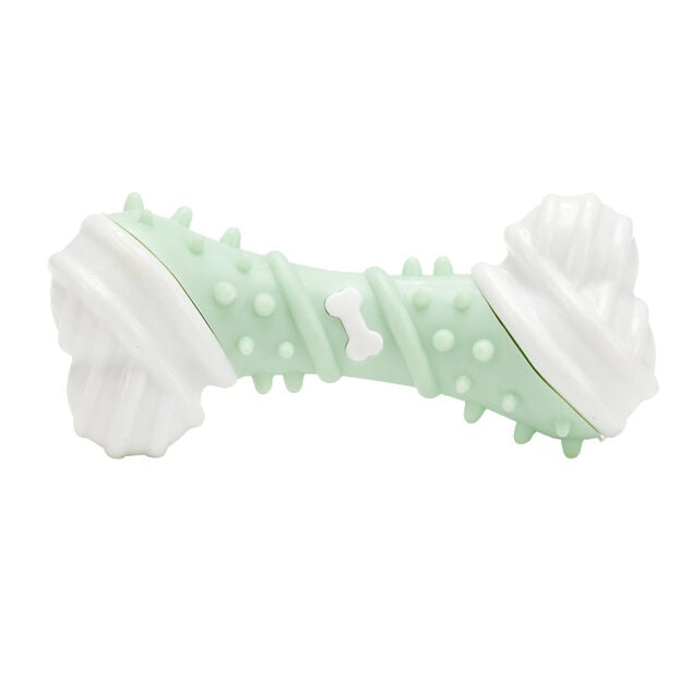 Jouet forme os pour chien &agrave; picots blanc et vert pastel L12,3cm