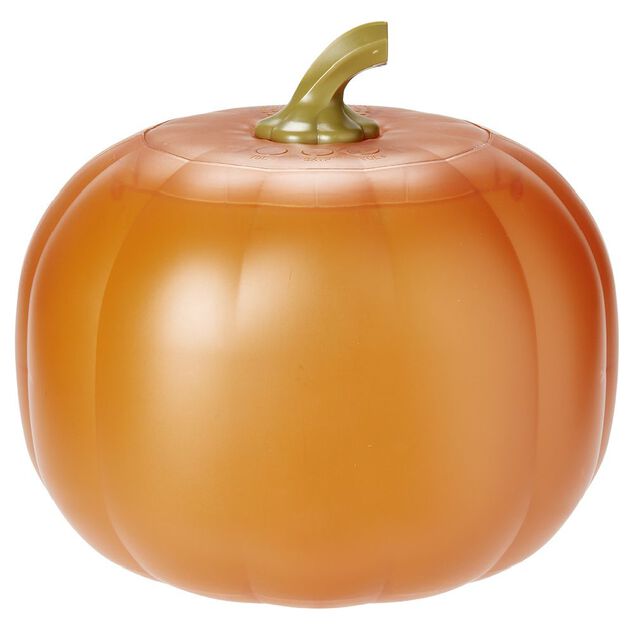Citrouille anim&eacute;e orange