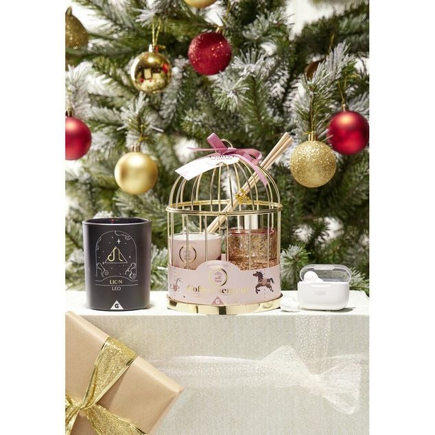 Coffret senteur sous cage diffuseur/bâtonnets/bougie (3 modèles)