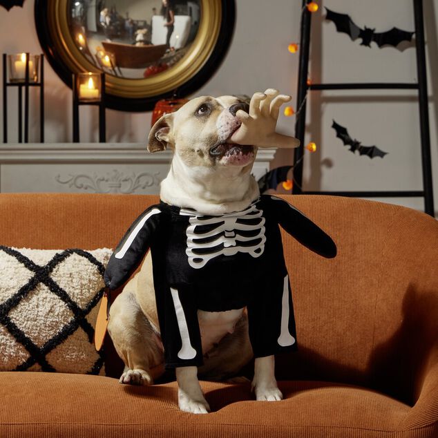 Déguisement pour chien squelette noir et blanc L/XL