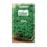 Semence de cresson de jardin
