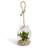 Pot en verre LED avec plante artificielle succulente Ø11,5xH15,5cm