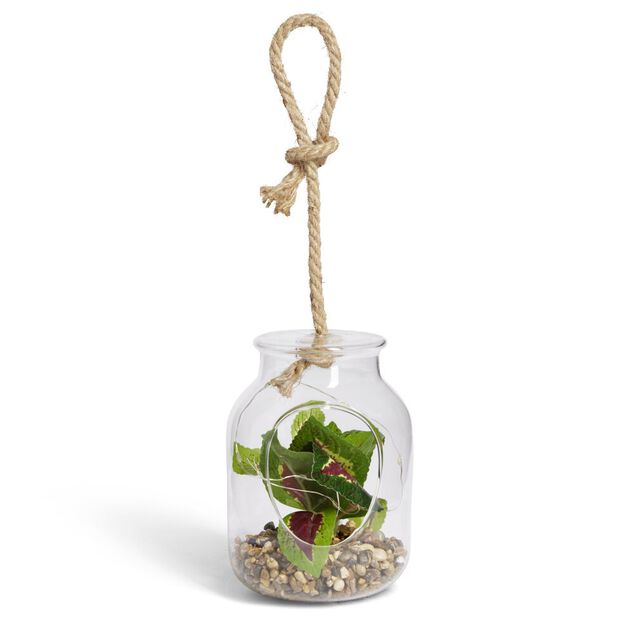 Pot en verre LED avec plante artificielle succulente Ø11,5xH15,5cm